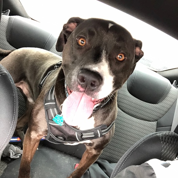 Meet your Posher, Demacio - Picture 1 of 1